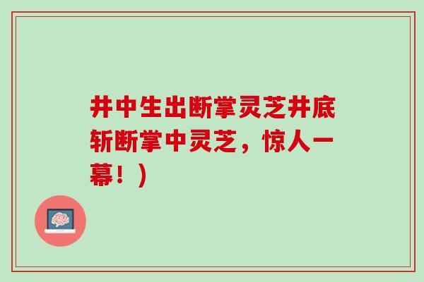 井中生出断掌灵芝井底斩断掌中灵芝,惊人一幕!) 井中生出断掌灵芝井底斩断掌中灵芝,惊人一幕!)