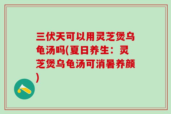 三伏天可以用灵芝煲乌龟汤吗(夏日养生：灵芝煲乌龟汤可消暑养颜)
