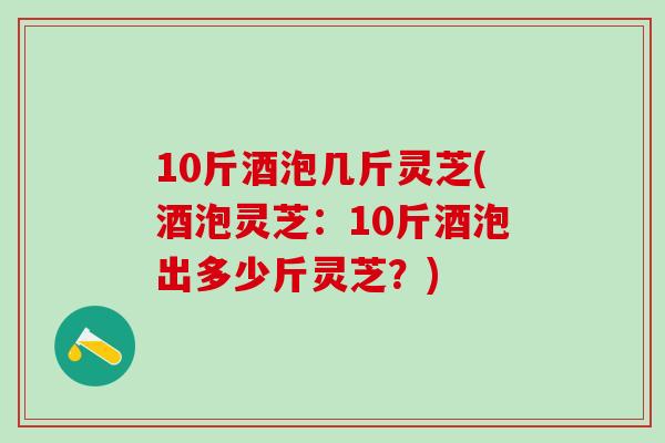 10斤酒泡几斤灵芝(酒泡灵芝：10斤酒泡出多少斤灵芝？)