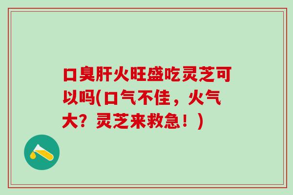 口臭火旺盛吃灵芝可以吗(口气不佳,火气大?灵芝来救急!) 口臭火旺盛吃灵芝可以吗(口气不佳,火气大?灵芝来救急!)