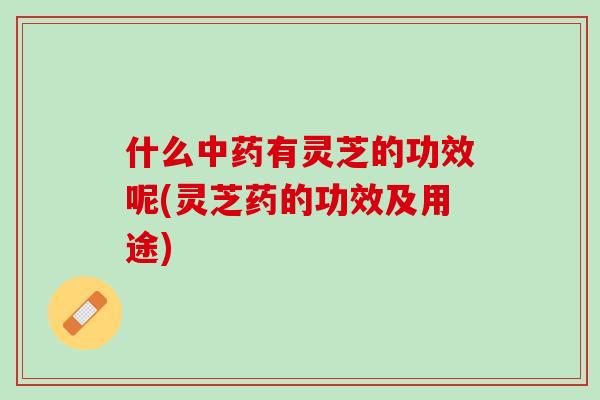 什么有灵芝的功效呢(灵芝药的功效及用途) 什么有灵芝的功效呢(灵芝药的功效及用途)