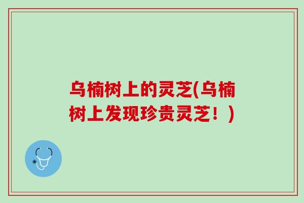 乌楠树上的灵芝(乌楠树上发现珍贵灵芝！)