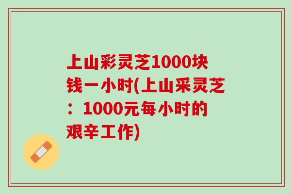 上山彩灵芝1000块钱一小时(上山采灵芝:1000元每小时的艰辛工作) 上山彩灵芝1000块钱一小时(上山采灵芝:1000元每小时的艰辛工作)