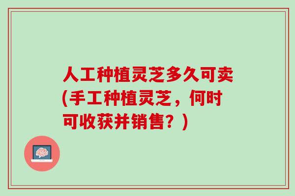 人工种植灵芝多久可卖(手工种植灵芝，何时可收获并销售？)