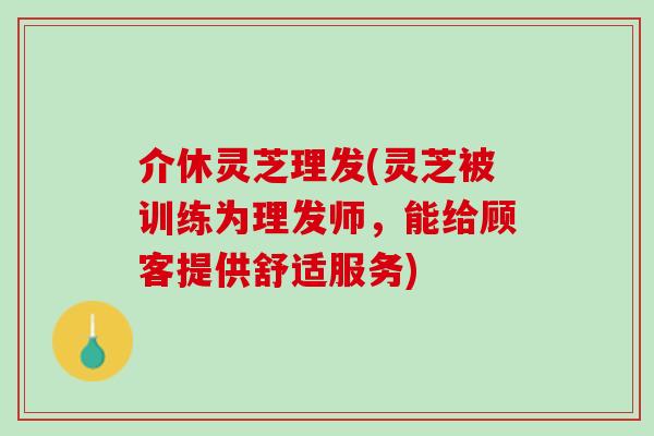 介休灵芝理发(灵芝被训练为理发师,能给顾客提供舒适服务) 介休灵芝理发(灵芝被训练为理发师,能给顾客提供舒适服务)