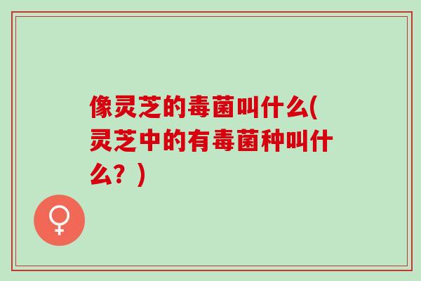 像灵芝的毒菌叫什么(灵芝中的有毒菌种叫什么？)