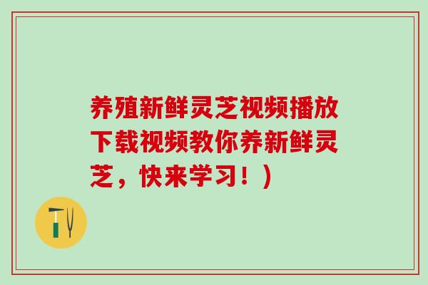 养殖新鲜灵芝视频播放下载视频教你养新鲜灵芝,快来学习!) 养殖新鲜灵芝视频播放下载视频教你养新鲜灵芝,快来学习!)