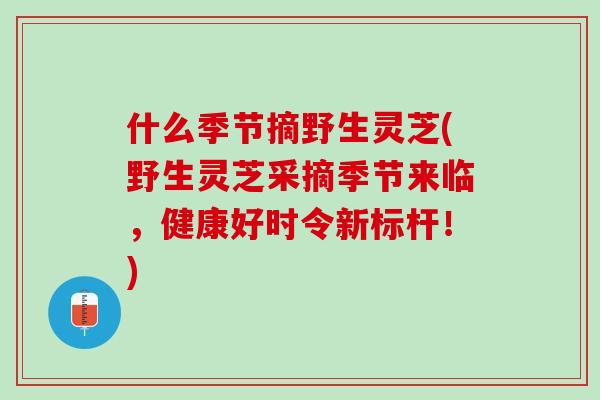 什么季节摘野生灵芝(野生灵芝采摘季节来临，健康好时令新标杆！)