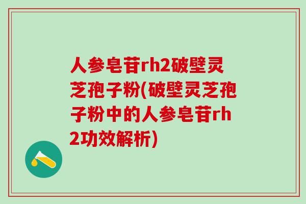 人参皂苷rh2破壁灵芝孢子粉(破壁灵芝孢子粉中的人参皂苷rh2功效解析)