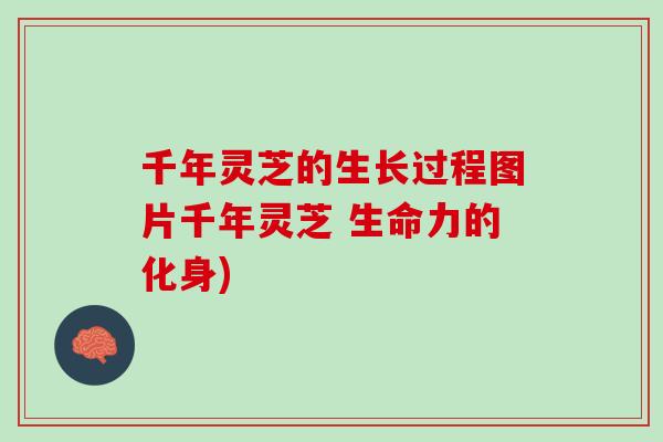 千年灵芝的生长过程图片千年灵芝 生命力的化身)