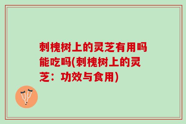 刺槐树上的灵芝有用吗能吃吗(刺槐树上的灵芝：功效与食用)