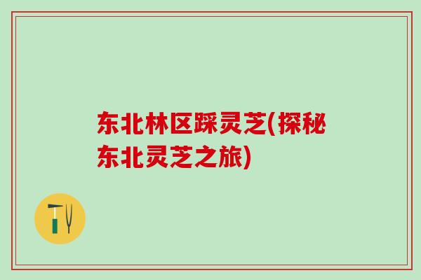 东北林区踩灵芝(探秘东北灵芝之旅)