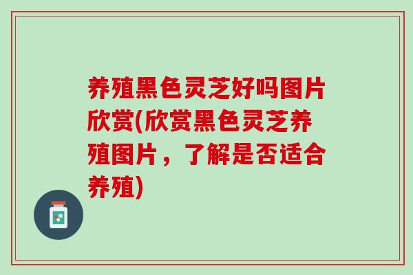 养殖黑色灵芝好吗图片欣赏(欣赏黑色灵芝养殖图片，了解是否适合养殖)