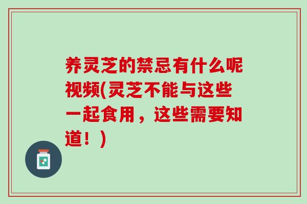 养灵芝的禁忌有什么呢视频(灵芝不能与这些一起食用，这些需要知道！)