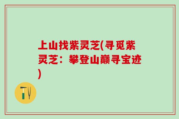 上山找紫灵芝(寻觅紫灵芝：攀登山巅寻宝迹)