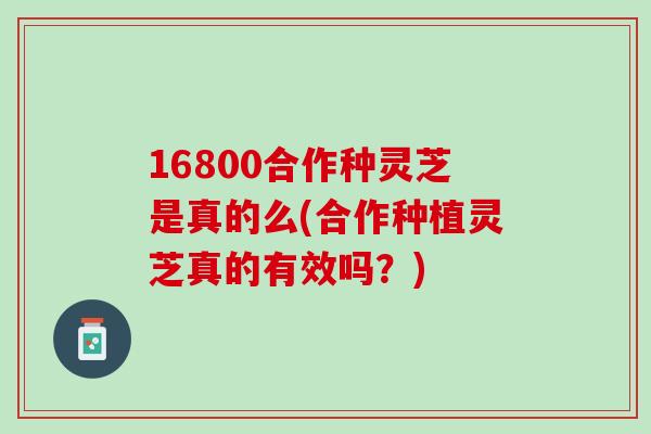 16800合作种灵芝是真的么(合作种植灵芝真的有效吗？)