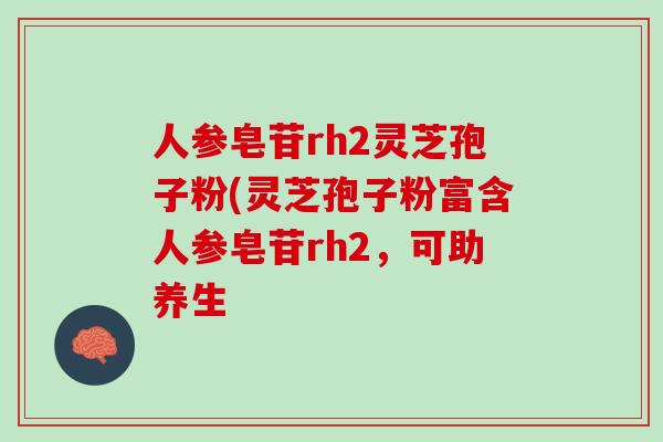 人参皂苷rh2灵芝孢子粉(灵芝孢子粉富含人参皂苷rh2，可助养生