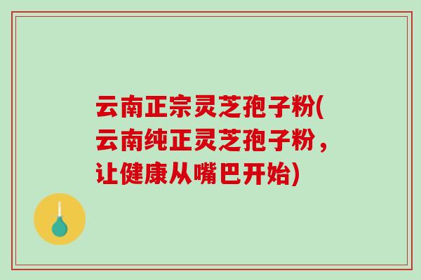 云南正宗灵芝孢子粉(云南纯正灵芝孢子粉，让健康从嘴巴开始)