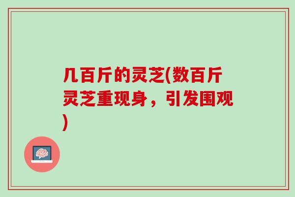 几百斤的灵芝(数百斤灵芝重现身，引发围观)
