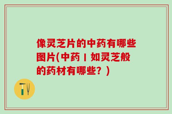 像灵芝片的中药有哪些图片(中药丨如灵芝般的药材有哪些？)