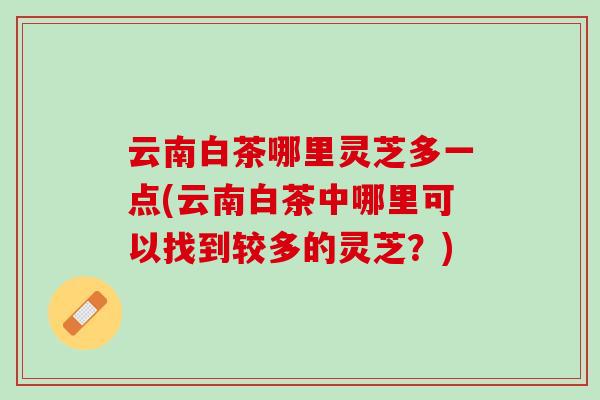云南白茶哪里灵芝多一点(云南白茶中哪里可以找到较多的灵芝？)