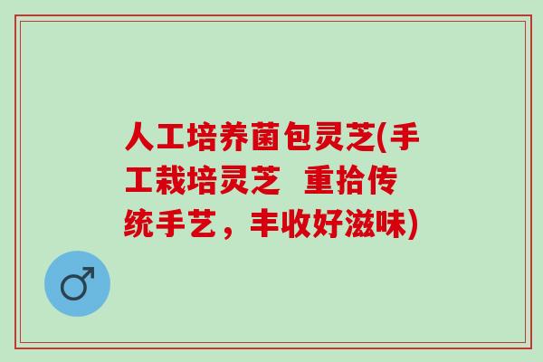 人工培养菌包灵芝(手工栽培灵芝 重拾传统手艺,丰收好滋味) 人工培养菌包灵芝(手工栽培灵芝 重拾传统手艺,丰收好滋味)