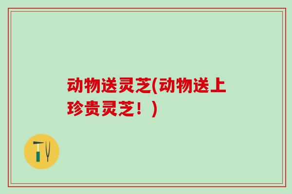 动物送灵芝(动物送上珍贵灵芝!) 动物送灵芝(动物送上珍贵灵芝!)
