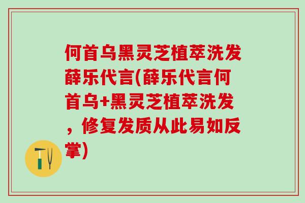 何首乌黑灵芝植萃洗发薛乐代言(薛乐代言何首乌+黑灵芝植萃洗发,修复发质从此易如反掌) 何首乌黑灵芝植萃洗发薛乐代言(薛乐代言何首乌+黑灵芝植萃洗发,修复发质从此易如反掌)