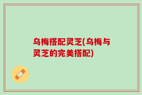 乌梅搭配灵芝(乌梅与灵芝的完美搭配)