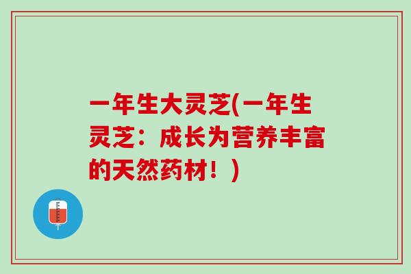 一年生大灵芝(一年生灵芝:成长为营养丰富的天然药材!) 一年生大灵芝(一年生灵芝:成长为营养丰富的天然药材!)