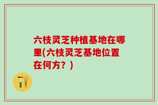 六枝灵芝种植基地在哪里(六枝灵芝基地位置在何方？)