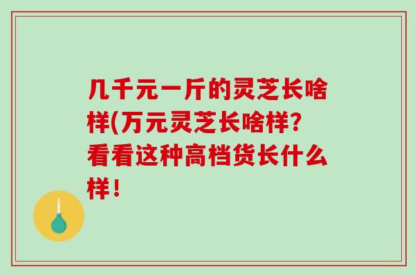 几千元一斤的灵芝长啥样(万元灵芝长啥样?看看这种高档货长什么样! 几千元一斤的灵芝长啥样(万元灵芝长啥样?看看这种高档货长什么样!