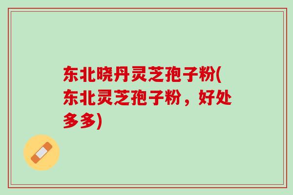 东北晓丹灵芝孢子粉(东北灵芝孢子粉，好处多多)