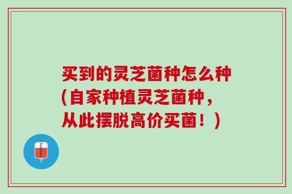 买到的灵芝菌种怎么种(自家种植灵芝菌种，从此摆脱高价买菌！)