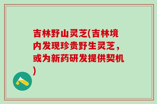 吉林野山灵芝(吉林境内发现珍贵野生灵芝，或为新药研发提供契机)