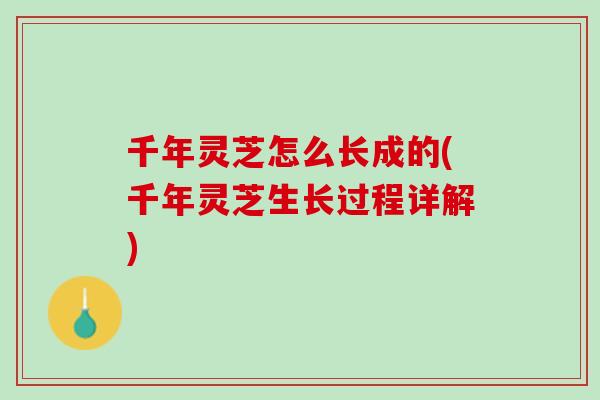千年灵芝怎么长成的(千年灵芝生长过程详解) 千年灵芝怎么长成的(千年灵芝生长过程详解)