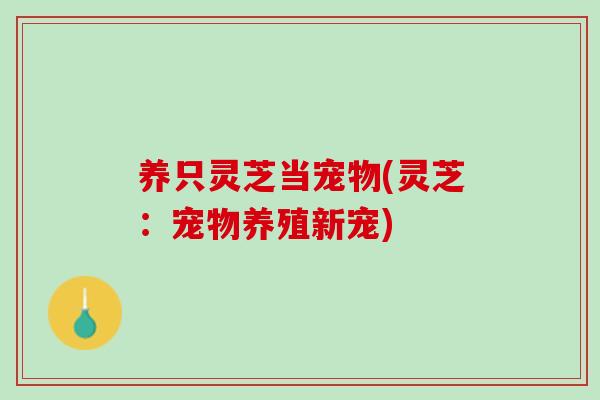 养只灵芝当宠物(灵芝:宠物养殖新宠) 养只灵芝当宠物(灵芝:宠物养殖新宠)