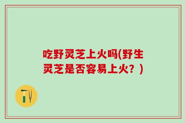 吃野灵芝上火吗(野生灵芝是否容易上火？)