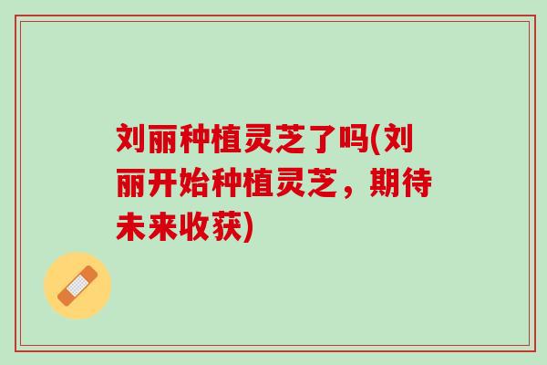 刘丽种植灵芝了吗(刘丽开始种植灵芝，期待未来收获)