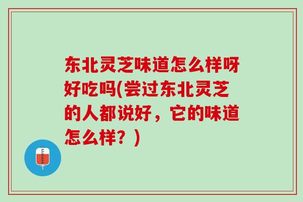 东北灵芝味道怎么样呀好吃吗(尝过东北灵芝的人都说好,它的味道怎么样?) 东北灵芝味道怎么样呀好吃吗(尝过东北灵芝的人都说好,它的味道怎么样?)