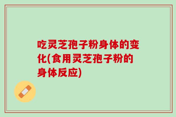 吃灵芝孢子粉身体的变化(食用灵芝孢子粉的身体反应)