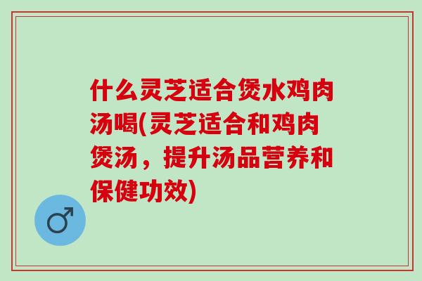什么灵芝适合煲水鸡肉汤喝(灵芝适合和鸡肉煲汤，提升汤品营养和保健功效)