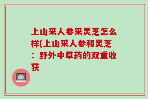 上山采人参采灵芝怎么样(上山采人参和灵芝：野外中草药的双重收获
