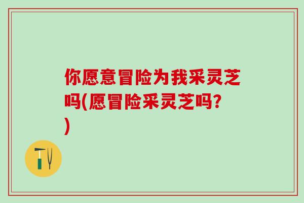 你愿意冒险为我采灵芝吗(愿冒险采灵芝吗？)