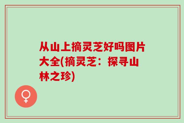 从山上摘灵芝好吗图片大全(摘灵芝:探寻山林之珍) 从山上摘灵芝好吗图片大全(摘灵芝:探寻山林之珍)