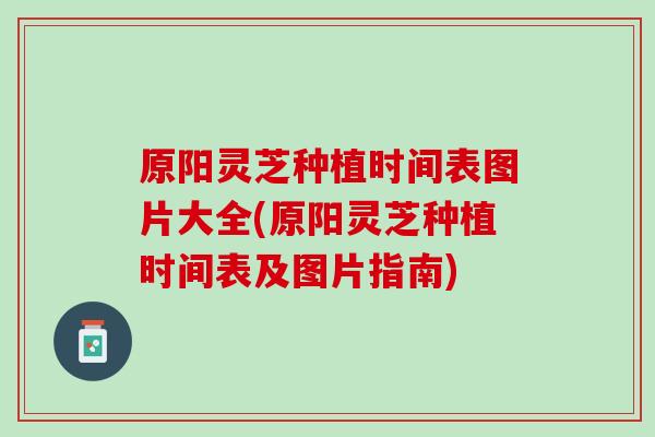 原阳灵芝种植时间表图片大全(原阳灵芝种植时间表及图片指南)