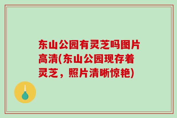东山公园有灵芝吗图片高清(东山公园现存着灵芝，照片清晰惊艳)