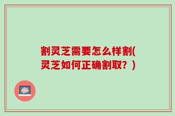 割灵芝需要怎么样割(灵芝如何正确割取？)