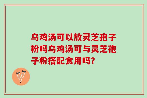 乌鸡汤可以放灵芝孢子粉吗乌鸡汤可与灵芝孢子粉搭配食用吗？
