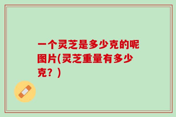 一个灵芝是多少克的呢图片(灵芝重量有多少克？)